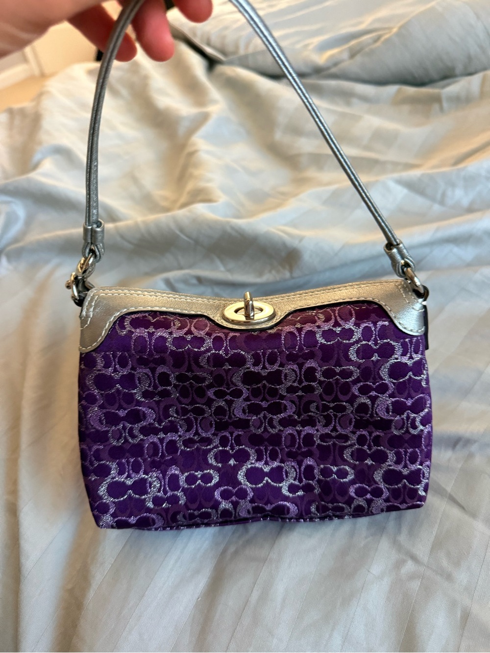 Vintage Coach Hangbag